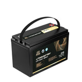 2 x Rock 12V 120Ah Lithium Iron Phosphate LiFePO4 Battery Cells Solar Caravan 4W